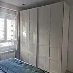 Pisito De Ainho León